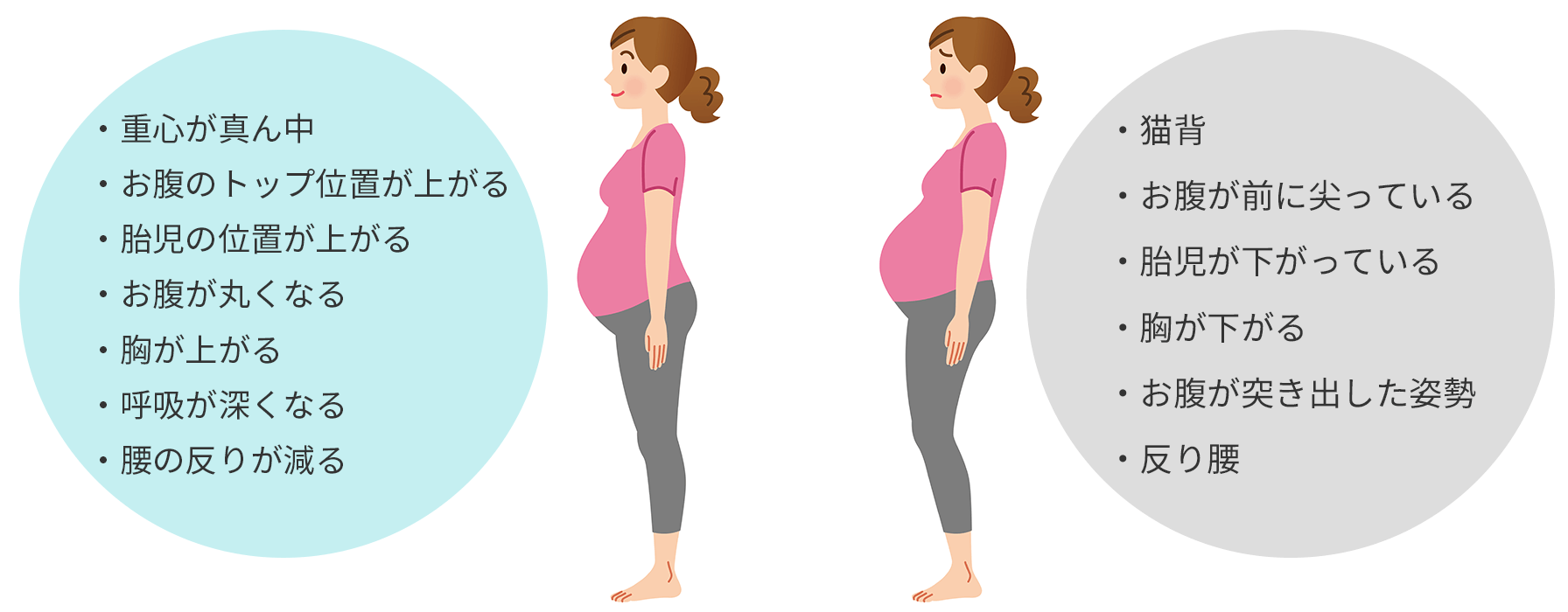 妊娠と骨格変化